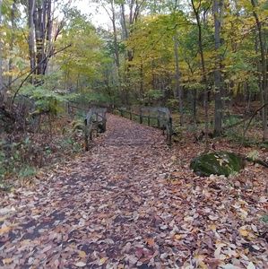 Meet your Posher, Manon